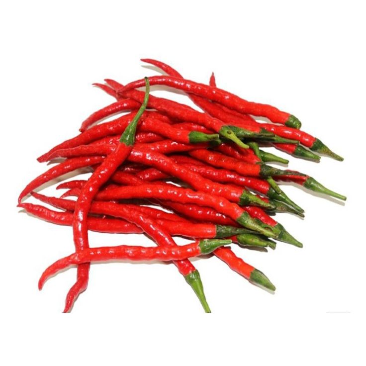 Cabai Merah Keriting